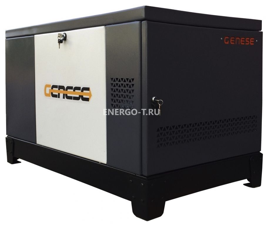 Газовый генератор  Standard 14000T Neva в кожухе с АВР